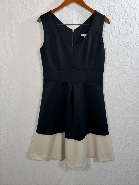 Dress Barn Dresses & Skirts - Dress Barn Fit & Flare Black & Tan Sweetheart Dress Sz 12